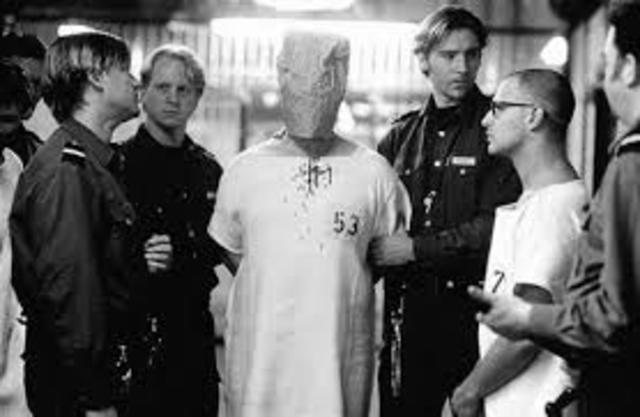 °°El experimento°°