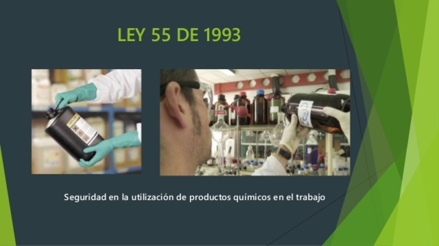 Ley 55 de 1993