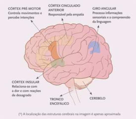 TEORÍA COGNITIVA