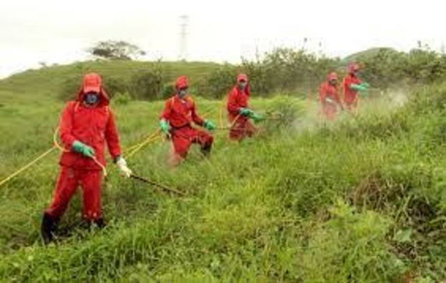 Decreto 1843 de 1991