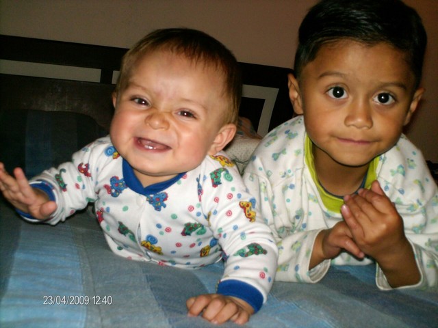 Un nuevo miembro a la familia