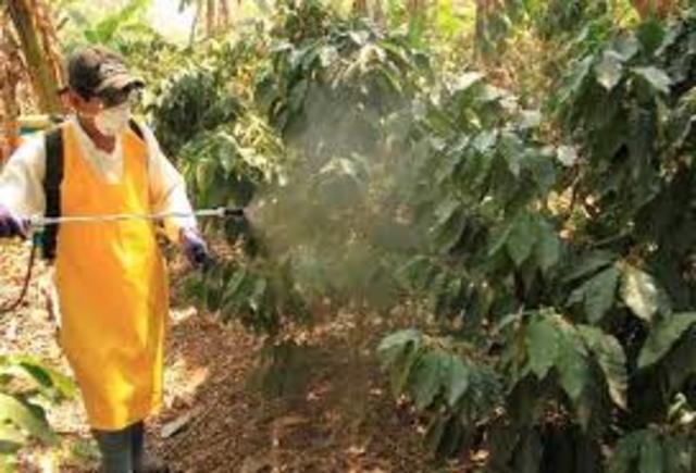 Resolución 209 de 1978