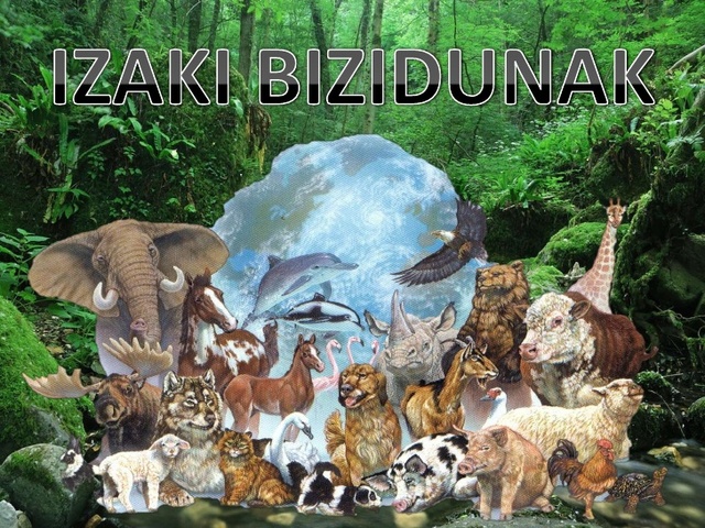 NOLA SORTU ZIREN LEHEN ZELULAK?