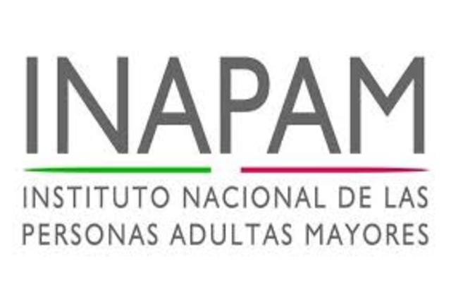 Estructuración del Instituto Nacional de las Personas Adultas Mayores, originalmente Instituto Nacional de la Senectud.