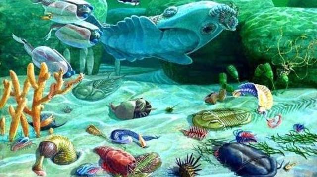 La explosión cámbrica