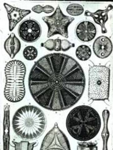 Forensic Science in China