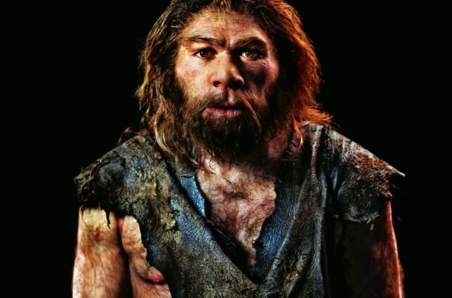 HOMO NEANDERTHALENSIS O HOME DE NEANDERTAL ( Fa 200.000 mil d'anys )