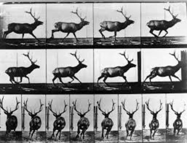 Edward Muybridge