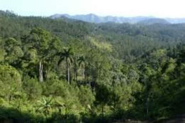 Desembarco, batalla y refugio