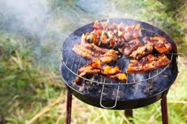 the day we had a barbecue