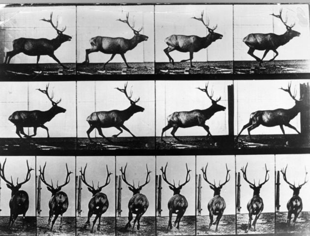 Eadweard Muybridge