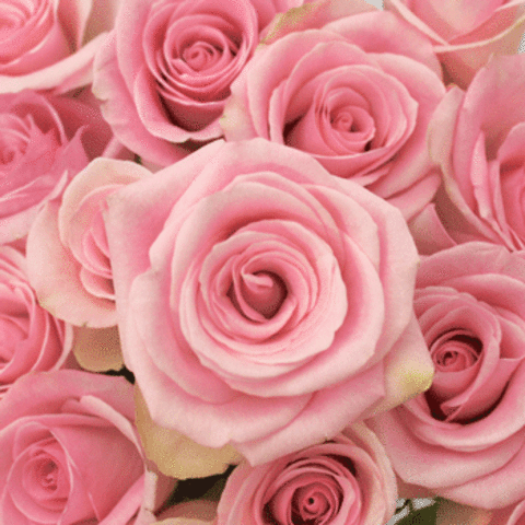 sewing my first purse