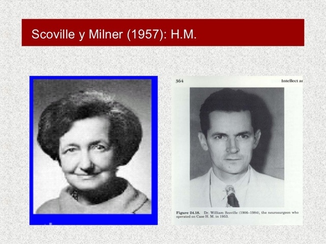 LA PSICOLOGÍA EXPERIMENTAL: Scoville y Millner