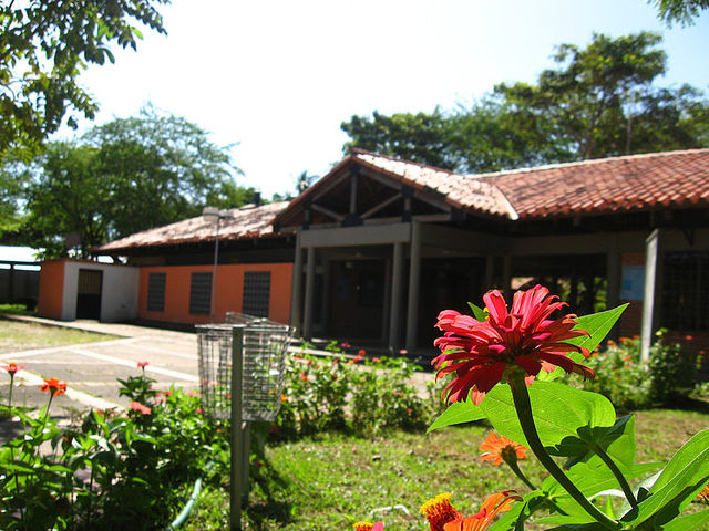 Inicio de mi carrera profesional