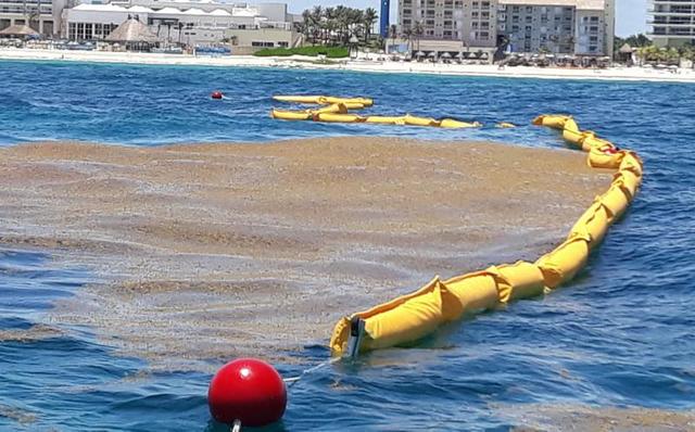 Barreras anti sargazo.