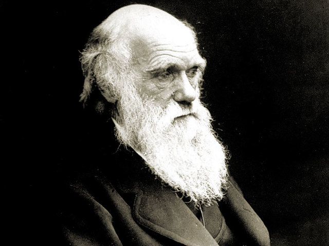 Darwin