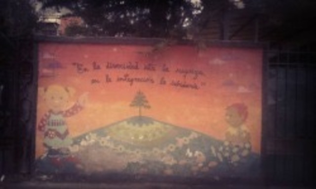 Diversidad Funcional