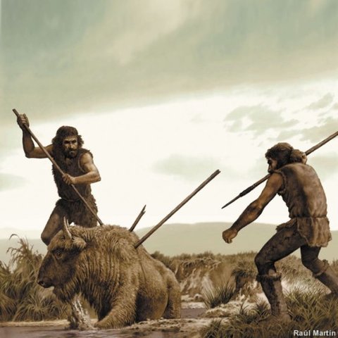 100000 años AC/ Homo sapiens