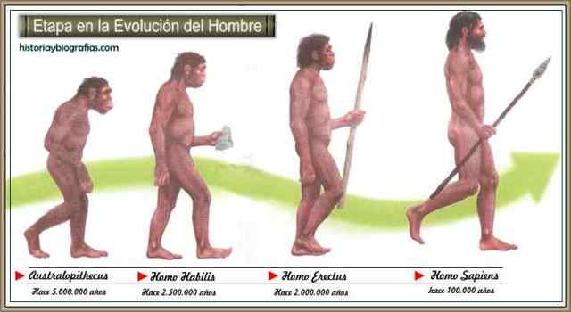 ORIGEN Y EVOLUCIÓN