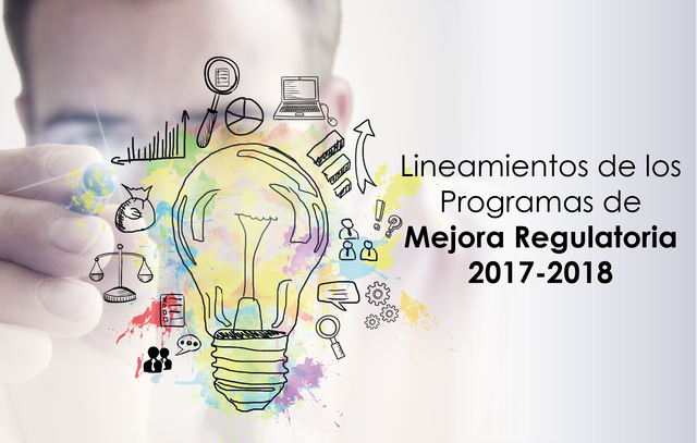 Prrogramas de mejora legulatoria