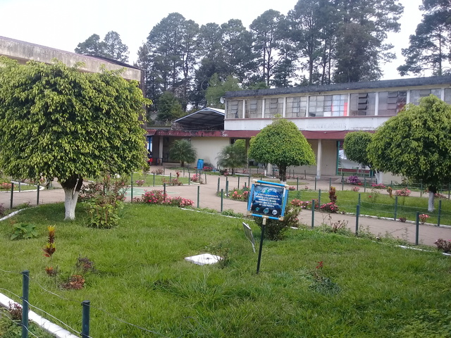 Observaciones a la planificación y a las actividades