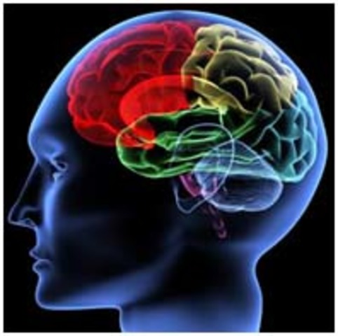 Neuropsicología Cognitiva