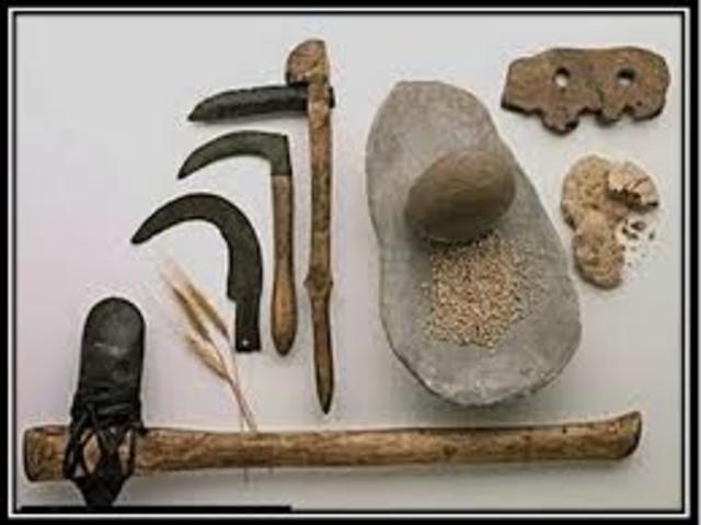 Necesidad elaborar armas