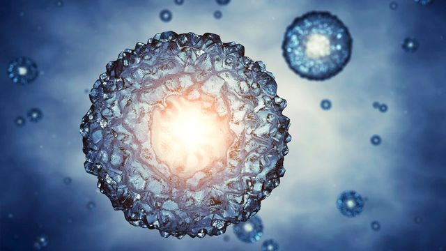 Desarrollo de la Teoría Celular