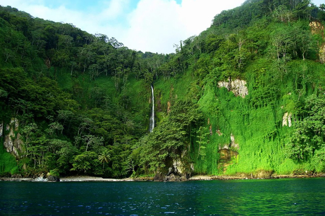 Clima tropical y húmedo