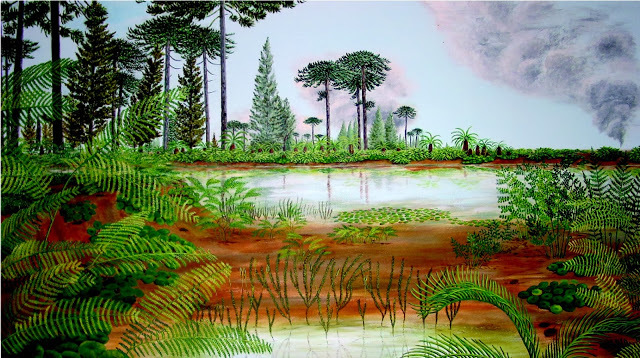 Las Angiospermas se desarrollan