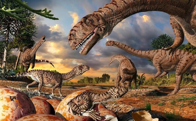 La Fauna cambia y aparecen nuevas especies