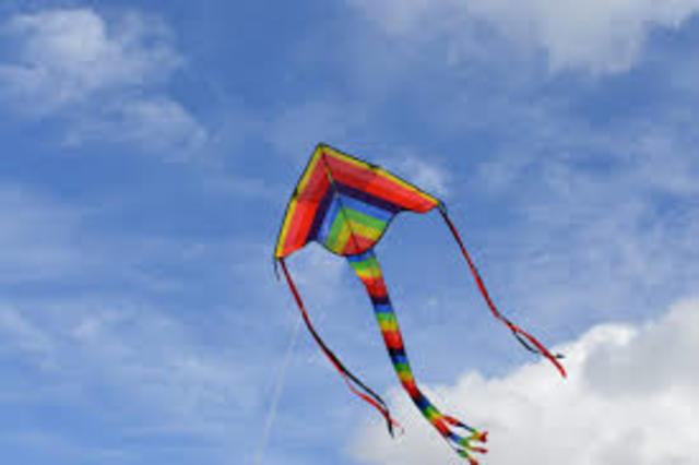 Amir wins kite competition