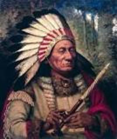 Sitting Bull's death