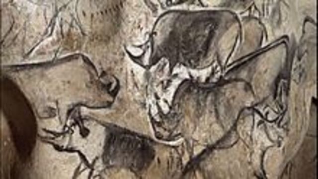 A group of Rhinos, was completed in the Chauvet Cave
