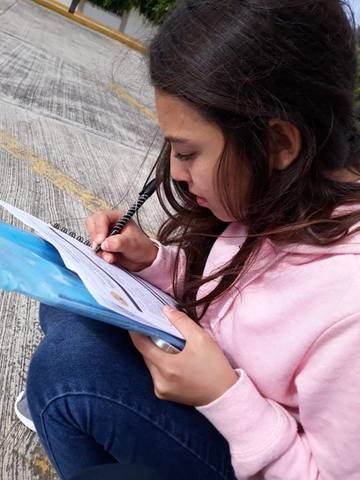 Llenando mi solicitud