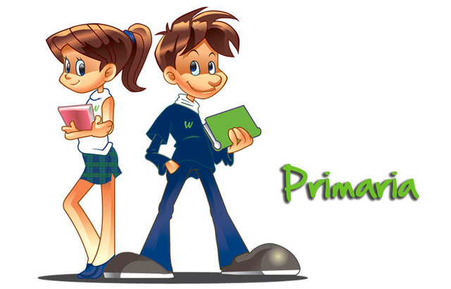 estudios primarios