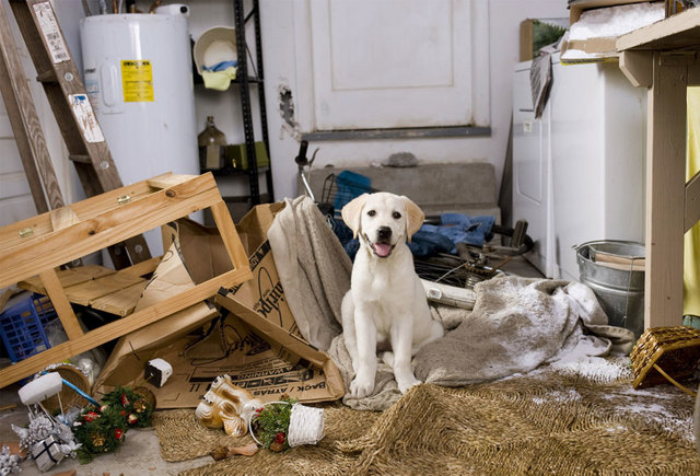Descripción del problema