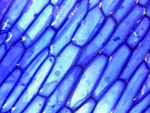 Lo que importa está en el interior II