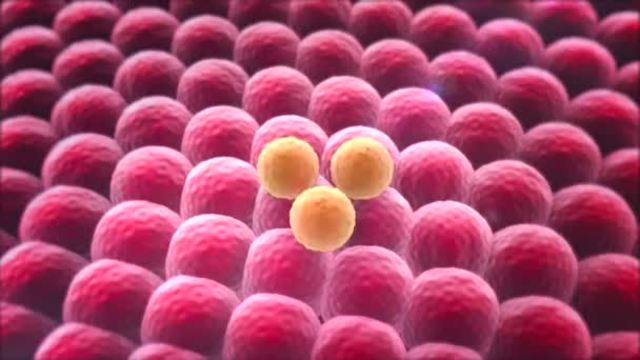 Lo que importa está en el interior