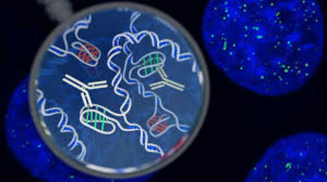 Microbiología etapas