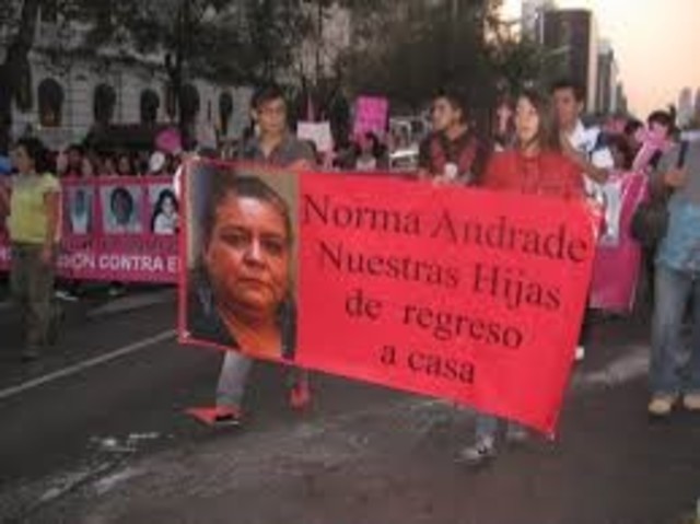 Nuestras Hijas de Regreso a Casa