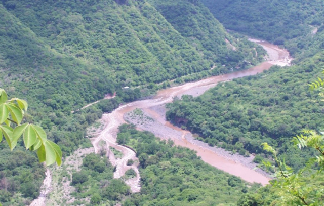 El gobierno intentó encubrir