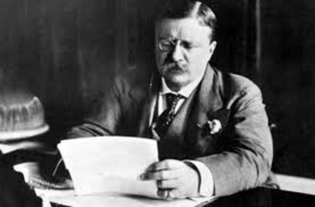 Teddy Roosevelt Elected
