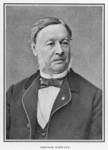Theodro Schwann