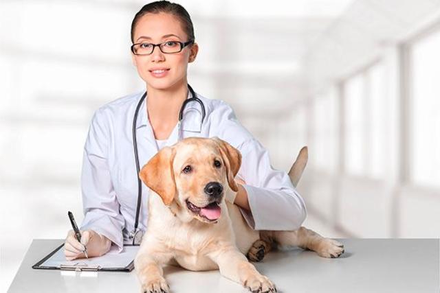 graduation of the university