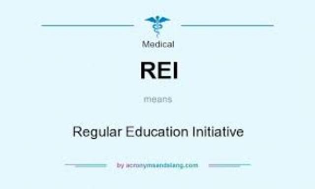 Regular Education Initiative