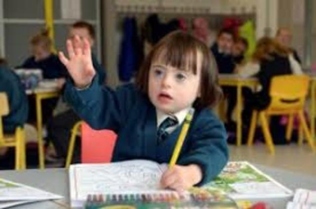 Mainstreaming Education