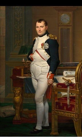 Napoleon was named consul.