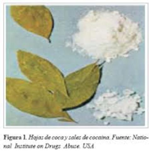 La Cocaína