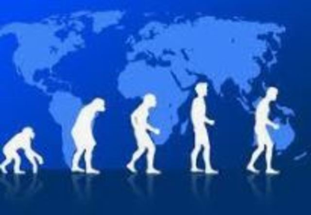 Vida simbolica en las organizaciones